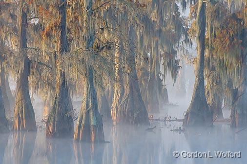 Lake Martin_26234.jpg - Photographed in the Cypress Island Preserve near Breaux Bridge, Louisiana, USA.
